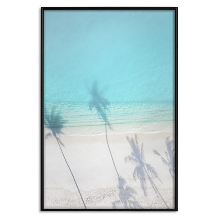 Poster Turquoise Morning [Poster]