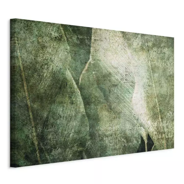 Big leaves - Worn image of exotic leaves plants