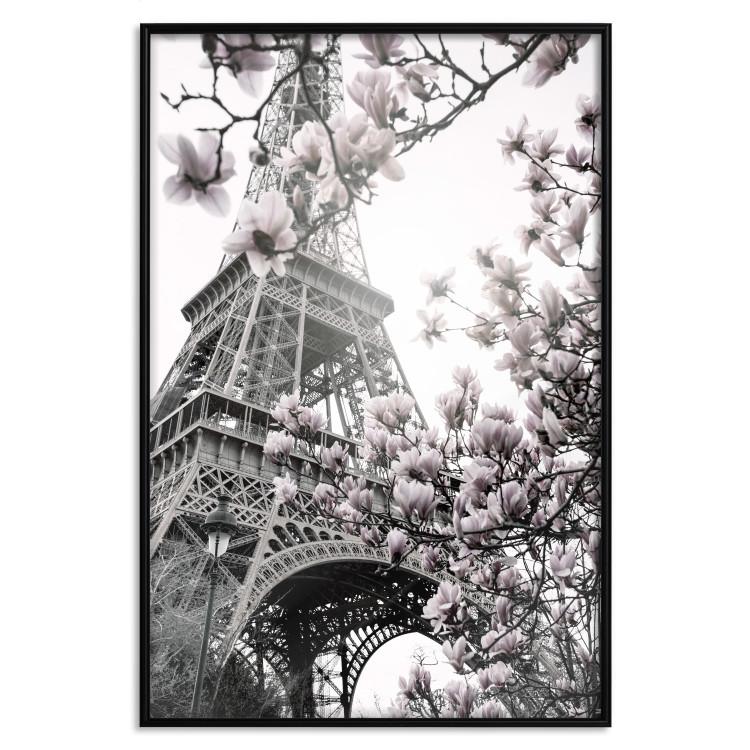 Poster Paris Magnolias [Poster]