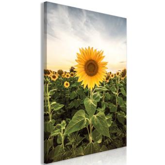 Canvas Sunflower Field (1-piece) Vertical - spring landscape of a meadow