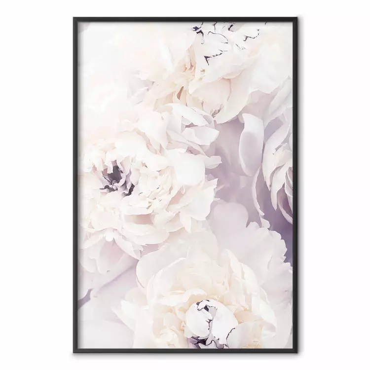 Vanilla Magnolias - composition of flowers with a delicate purple hue