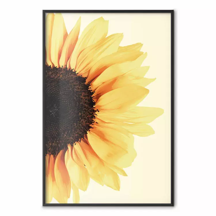 Closer to the Sun - natural sunflower on a gently yellow background