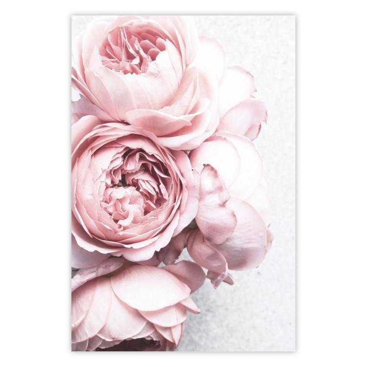 Rosy Scent - romantic composition of pink flowers on a light background