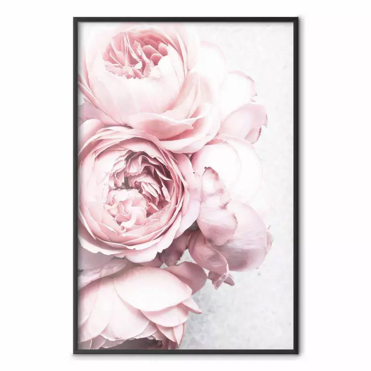 Rosy Scent - romantic composition of pink flowers on a light background