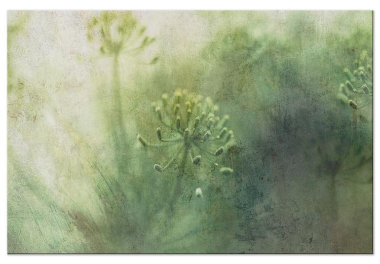 May flowers in the fog - graphics with green, wild flowers