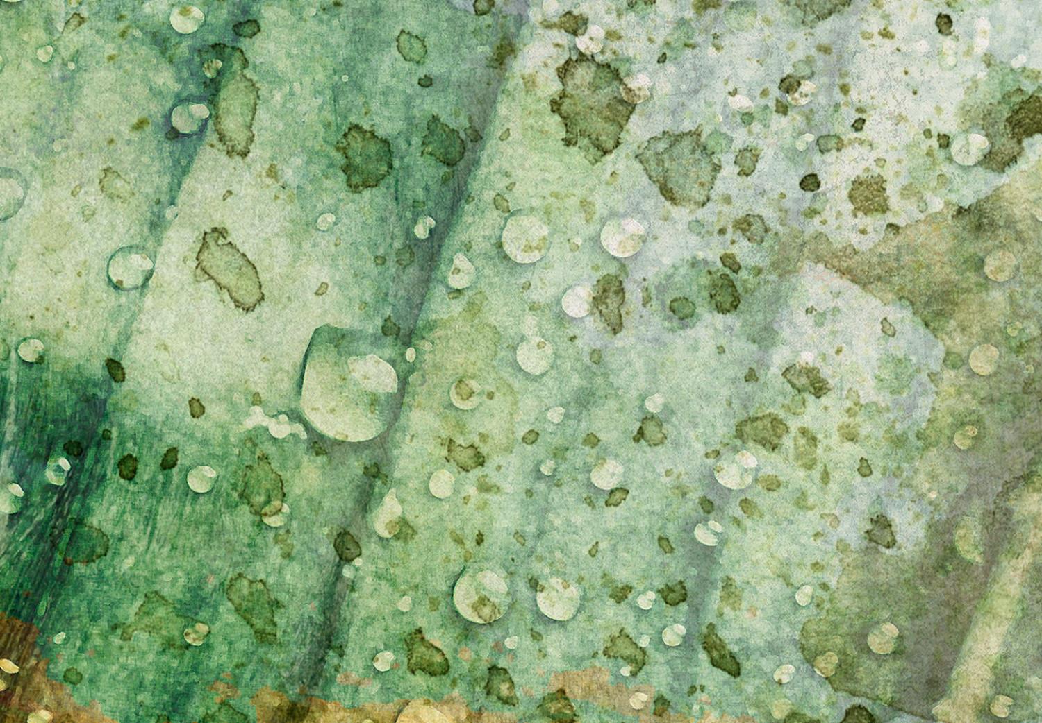 Canvas Rain drops on a leaf - Botanical theme in green color