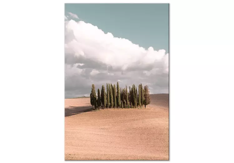 Tuscan forest - photo with a landscape of Tuscany and cypresses