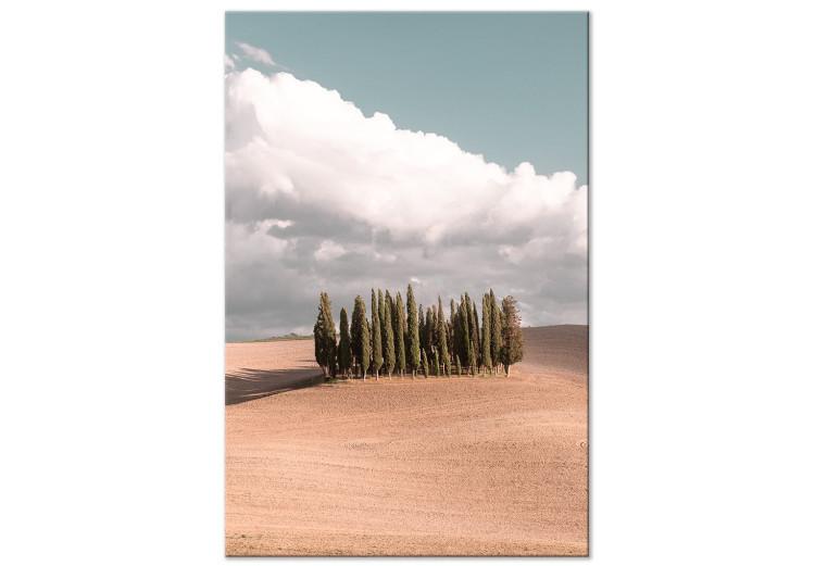 Tuscan forest - photo with a landscape of Tuscany and cypresses