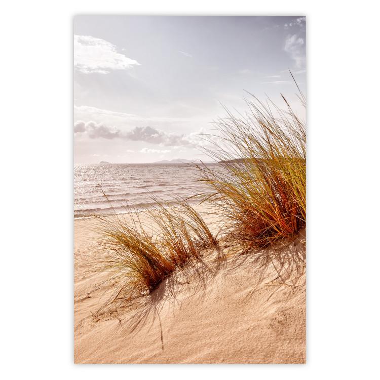 Afternoon Wind - seascape and sandy beach in summer