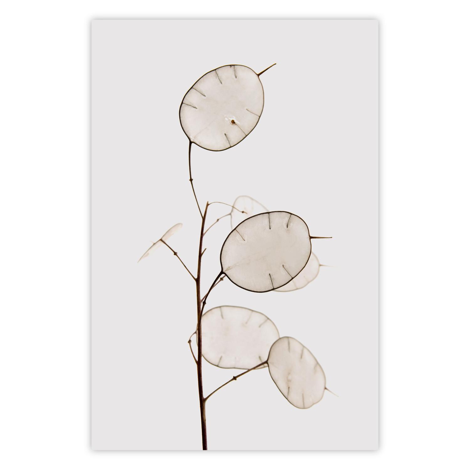 Poster Sunny Direction - a simple composition with bright foliage on a white background