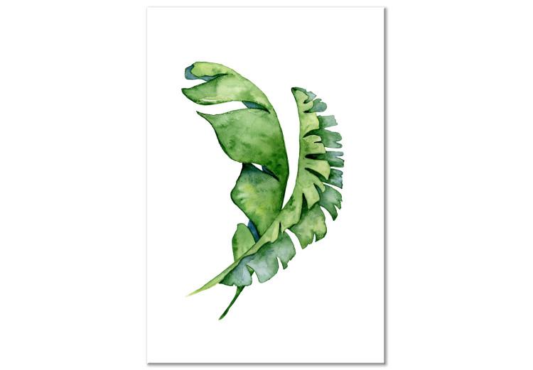 Canvas Print Two green leaves - plant composition in boho style