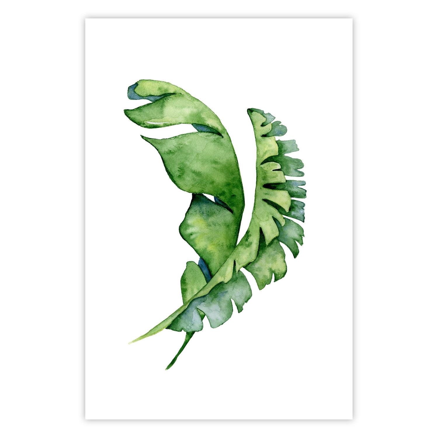 Poster Intertwined Leaves - watercolor composition with green foliage on white