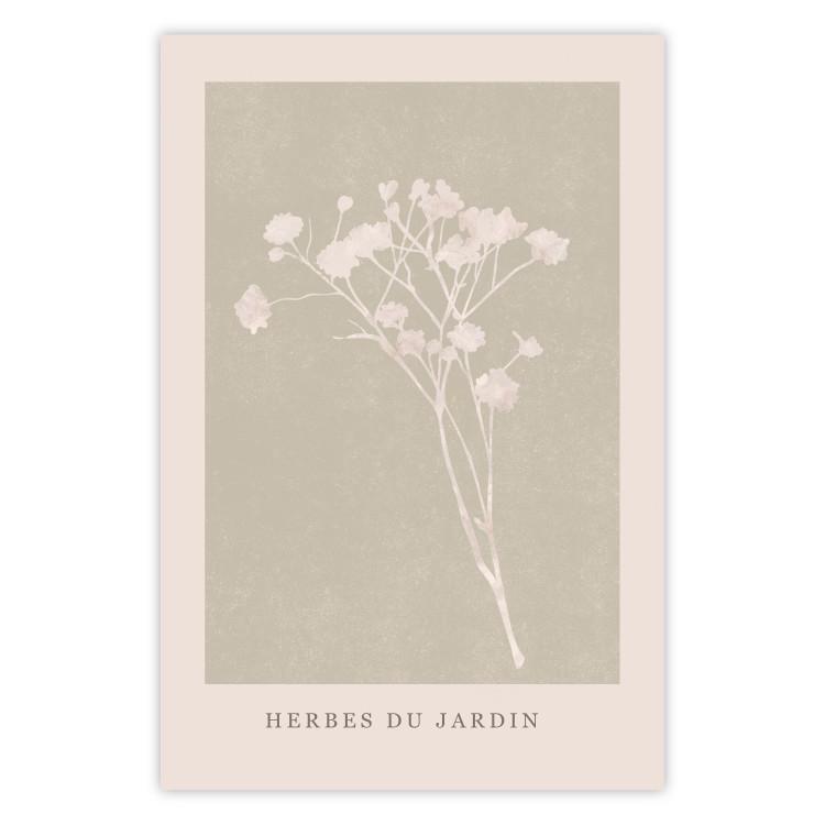 French Garden - bright botanical composition with French text