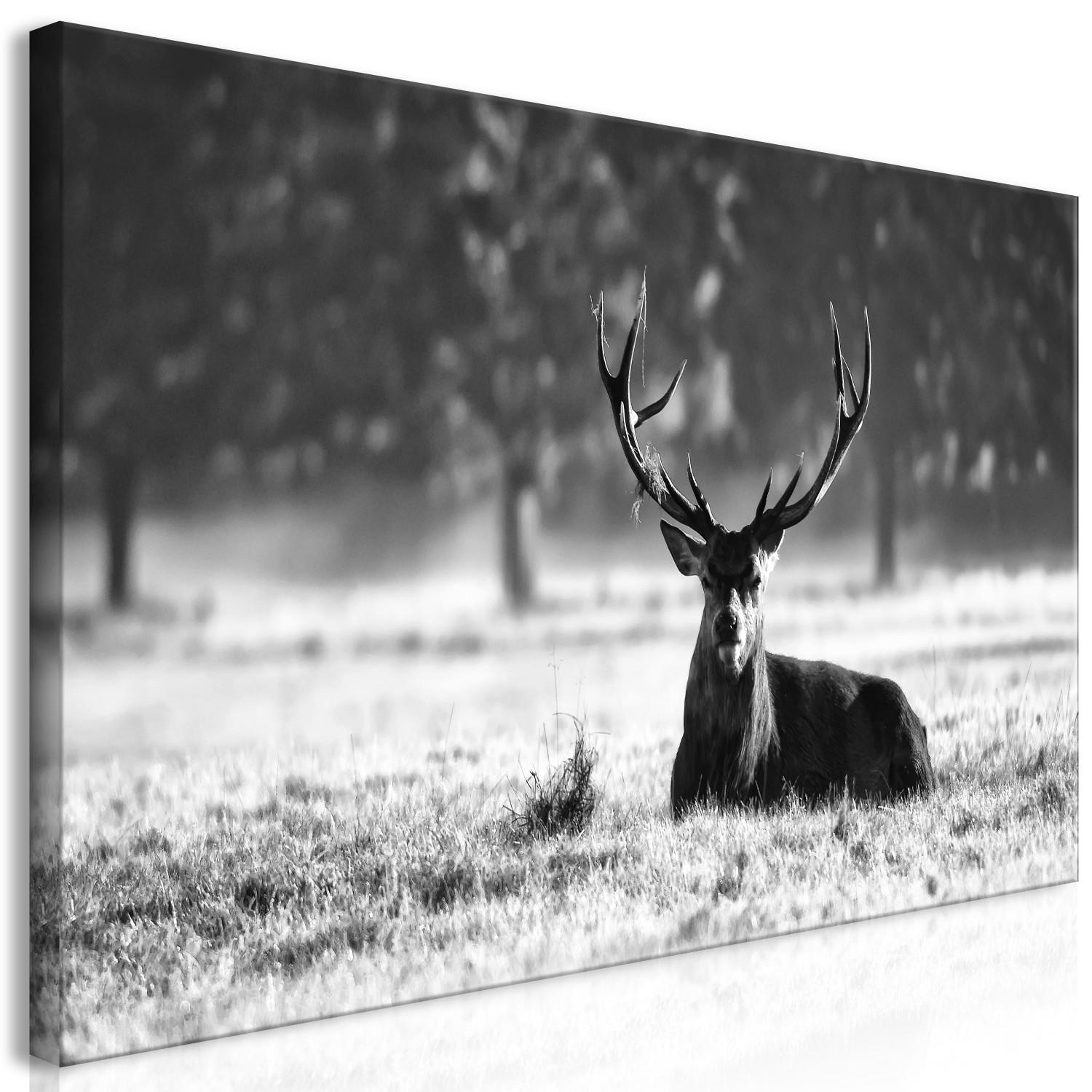Large Canvas Lying Deer II [Large Format]