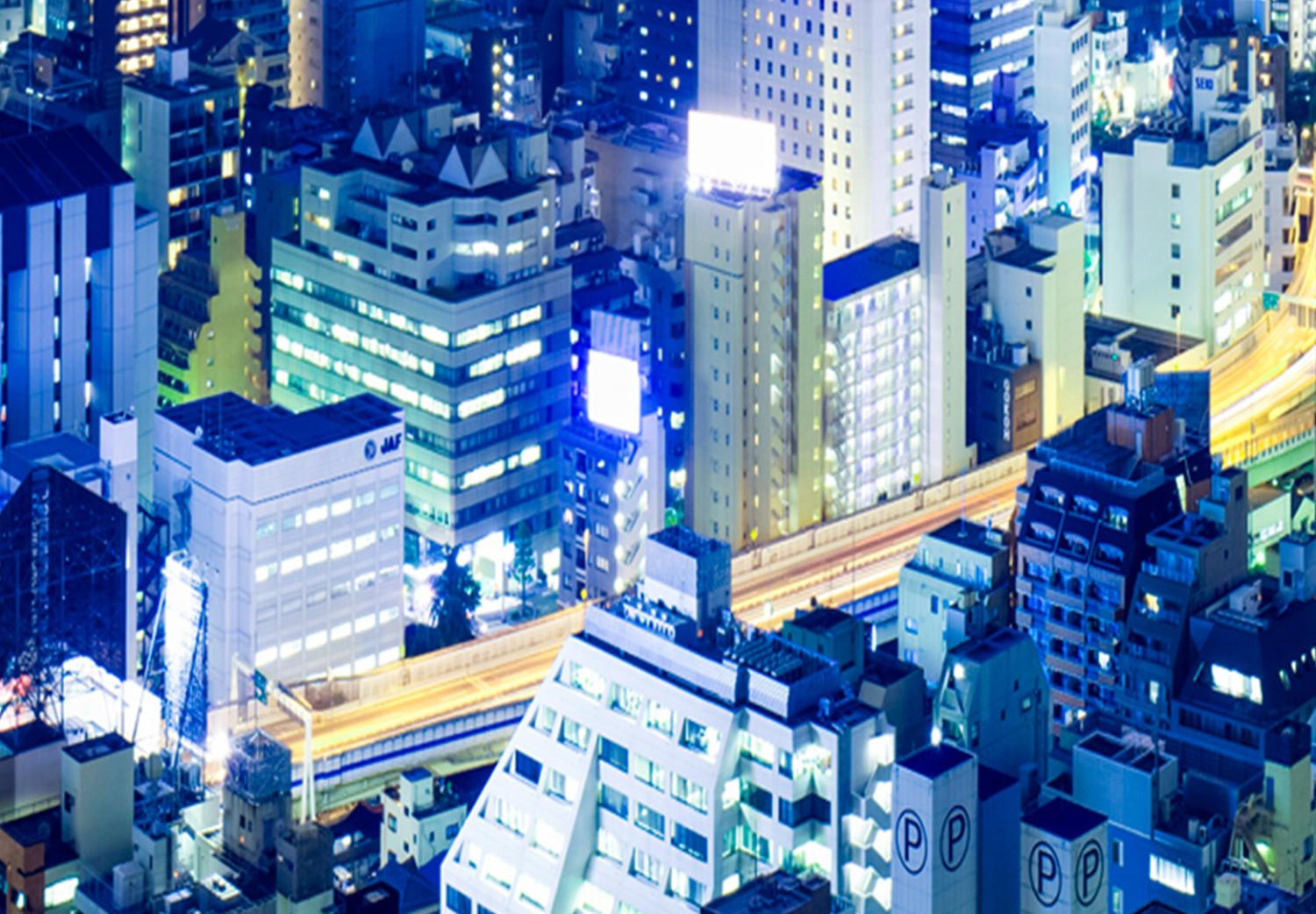 Large Canvas Tokyo: Modern City II [Large Format]