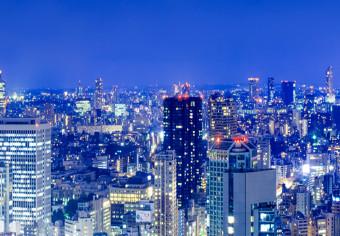 Large Canvas Tokyo: Modern City II [Large Format]
