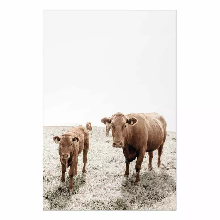 Poster Mother and Calf - domestic animals against a rural landscape