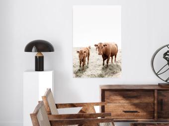 Poster Mother and Calf - domestic animals against a rural landscape