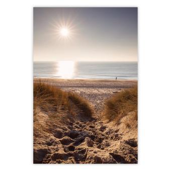 Poster Honey Memory - seascape of a beach against the sunlight