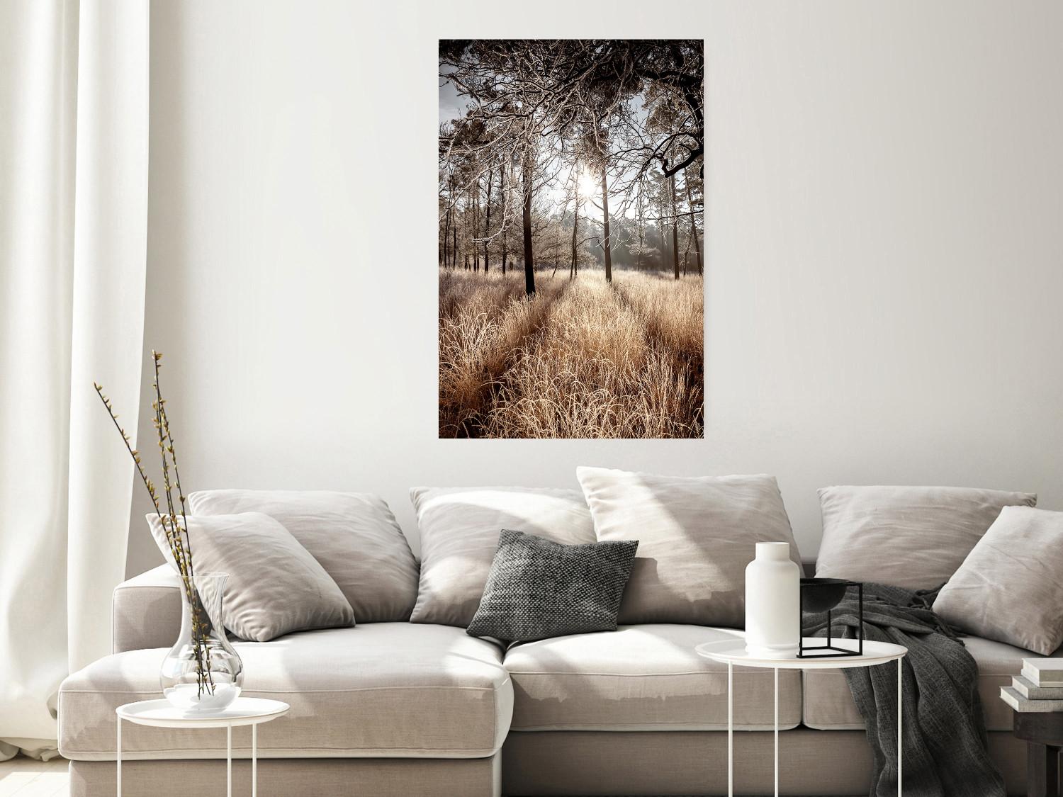 Poster Straight into Love - landscape of a forest and trees against a rising sun
