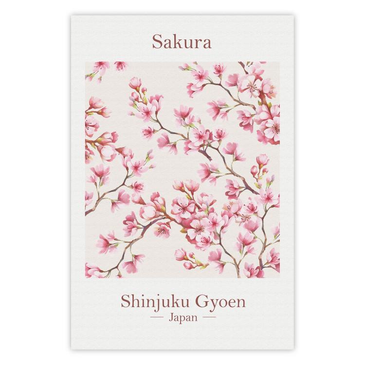 Sakura - English and Japanese text with pink flower