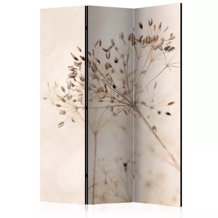 Serenity and Contemplation (3-piece) - Delicate plants on a beige background