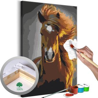 Paint by Number Kit Galloping Horse