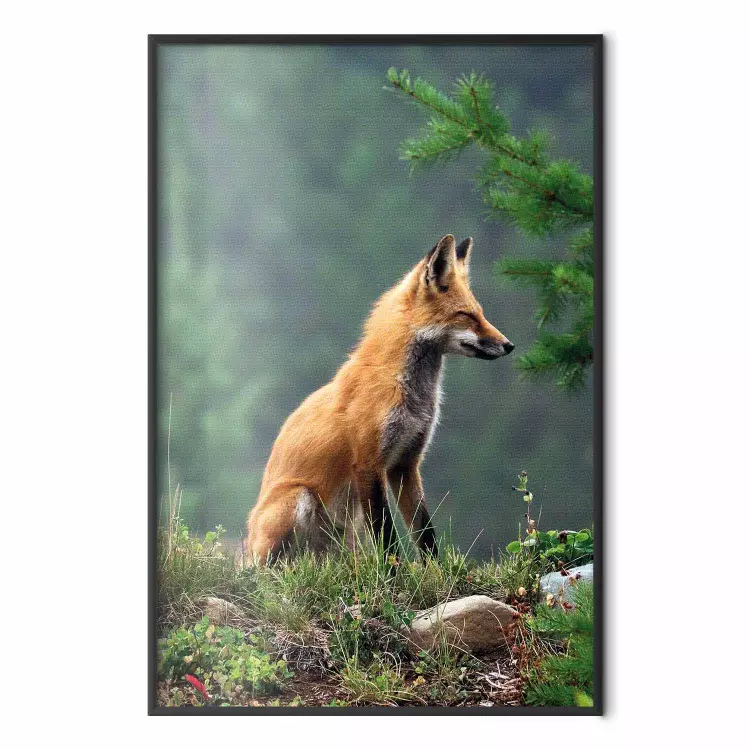 Red Hunter - majestic wild animal amidst forest on a blurred background