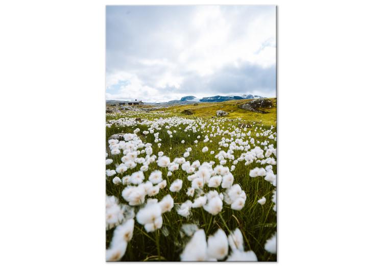 Meadow in the North (1-piece) Vertical - spring landscape with flowers