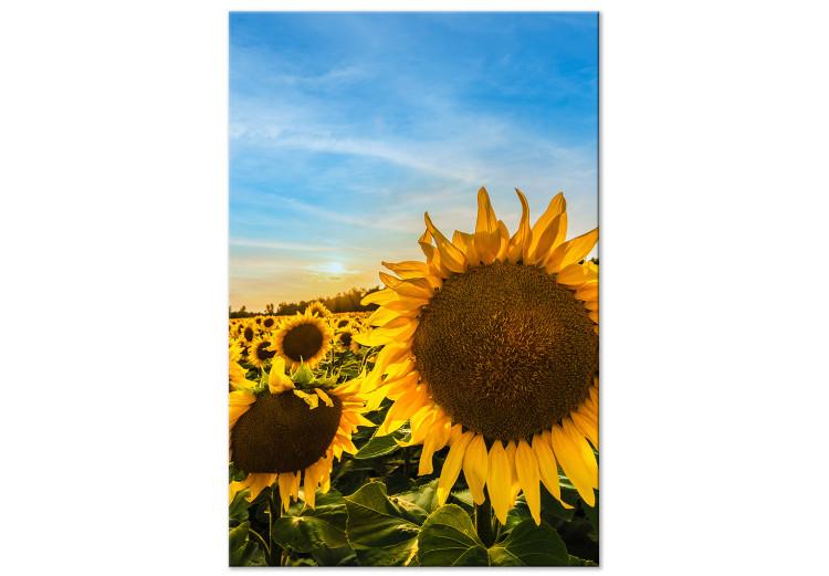 Flowers of Peace (1-piece) Vertical - sunflowers in a vast field