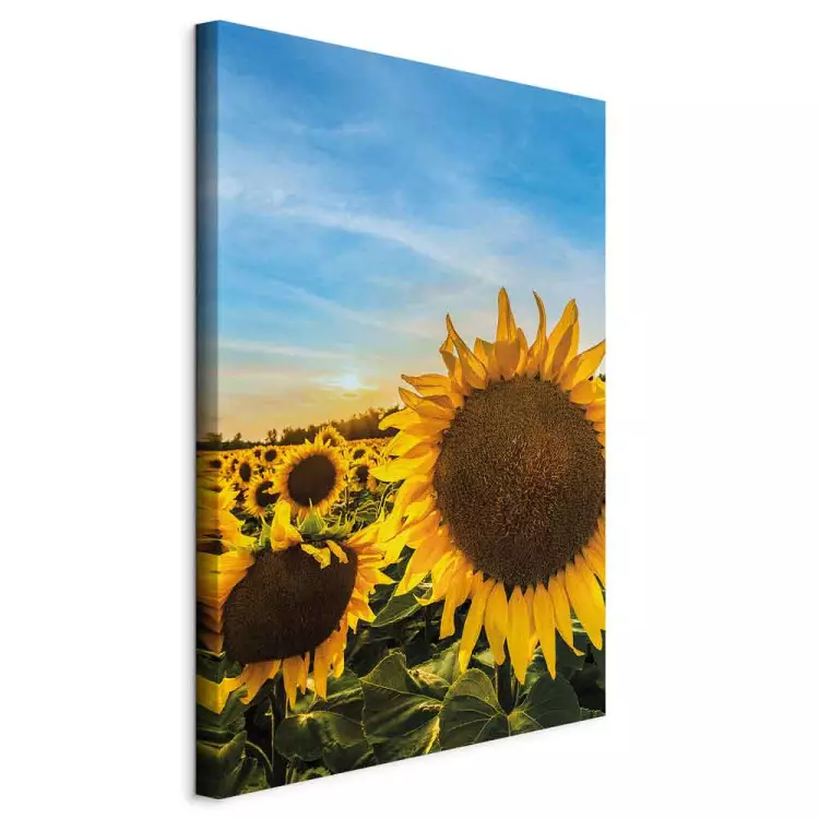 Flowers of Peace (1-piece) Vertical - sunflowers in a vast field