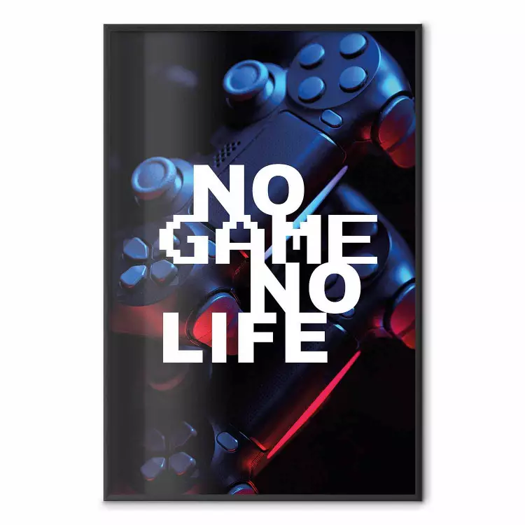 No Game No Life [Poster]