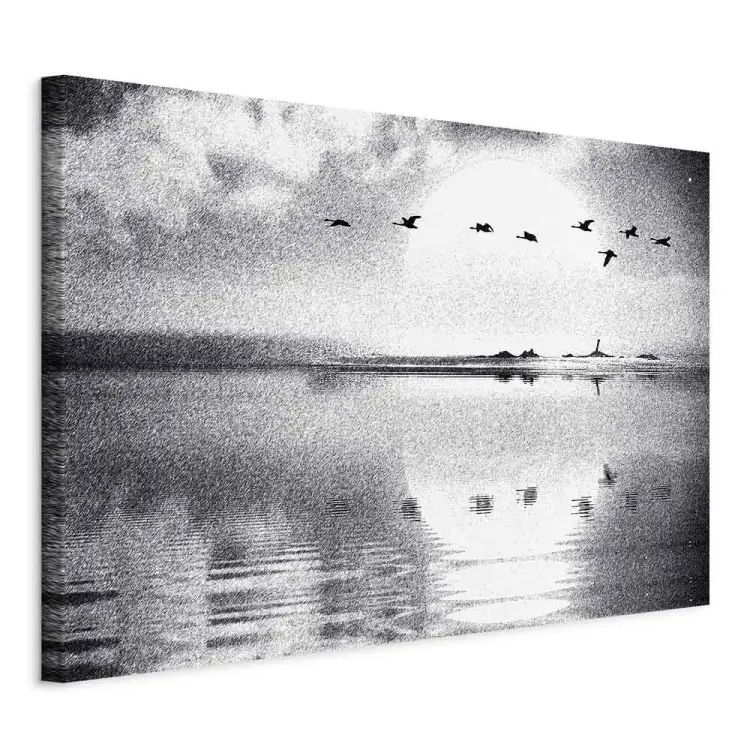 Flight of Birds over the Lake Wide - black and white landscape