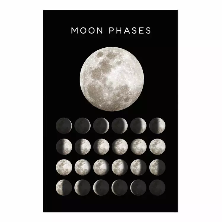 Poster Moon Phases [Poster] 