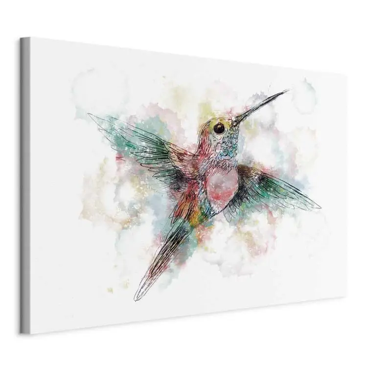 Colorful Hummingbird Wide - multicolored bird for children