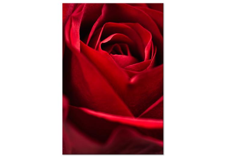 Red Flower (1-piece) - close-up of delicate rose petals