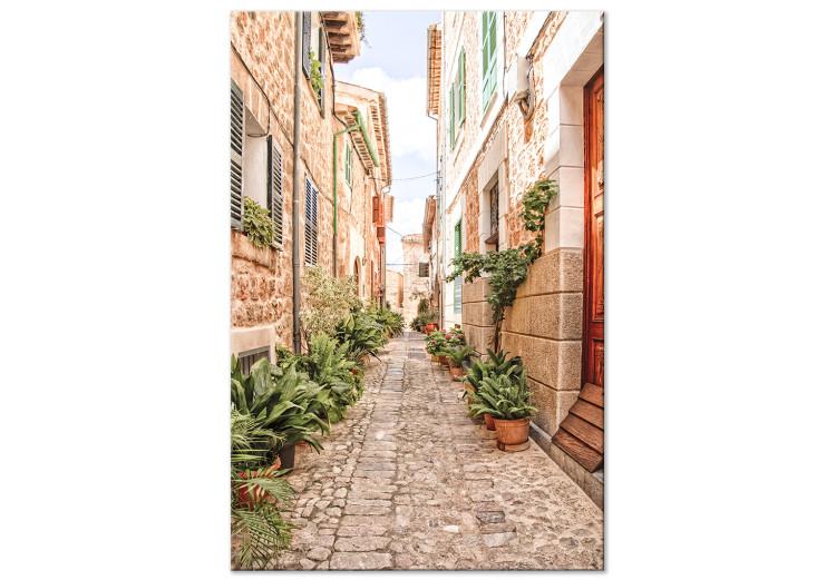 Quiet Alley (1-piece) - view of a Spanish town and plants