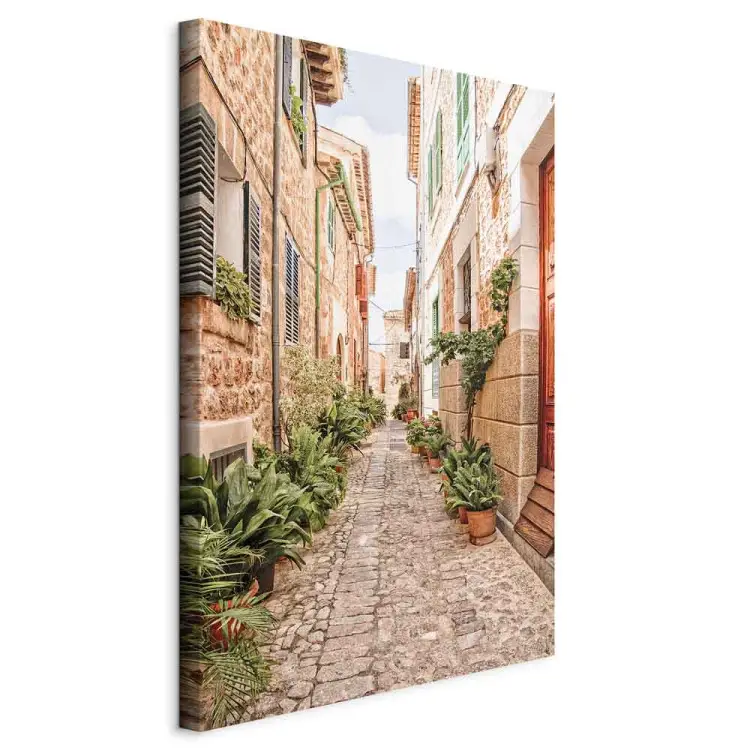 Quiet Alley - view of a Spanish town and plants