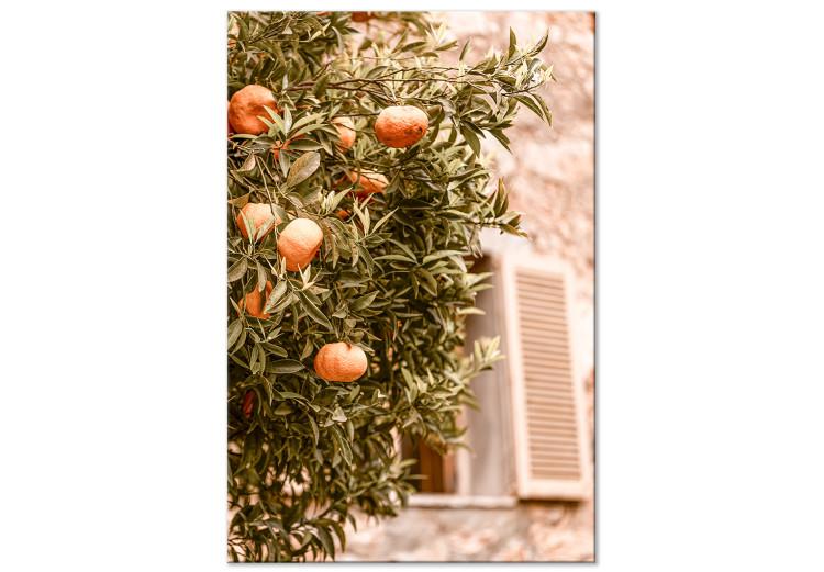 Canvas Print Urban Greenery - Tangerine Tree Against the Background of the Building