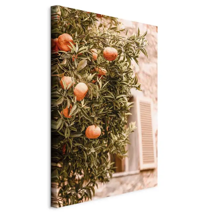 Urban Fruits - mandarin tree against a building backdrop