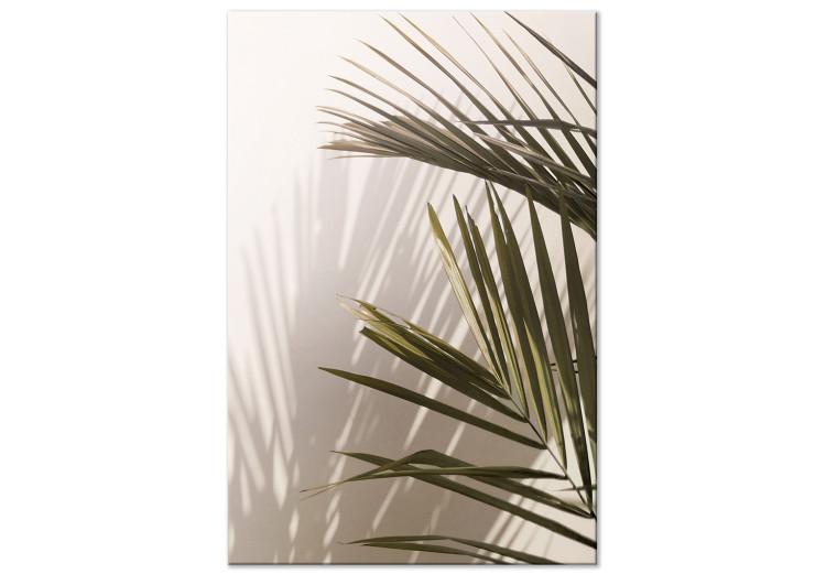 Canvas Print Palm Leaves - Sunny View With a Peaceful Play of Light and Shade