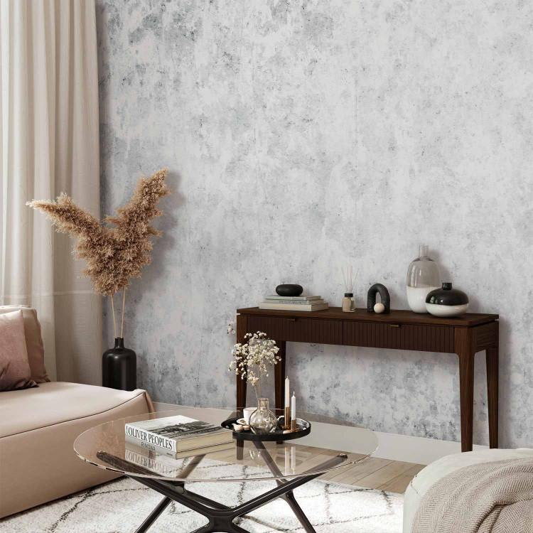 Wall Mural Texture Variety - gray background with abstract stains