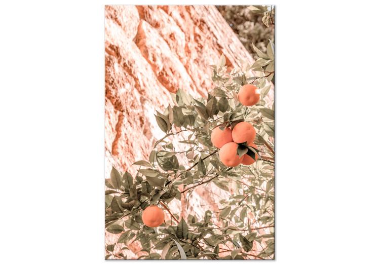 Canvas Print Young Clementines - Citrus Tree Branch With Fruits