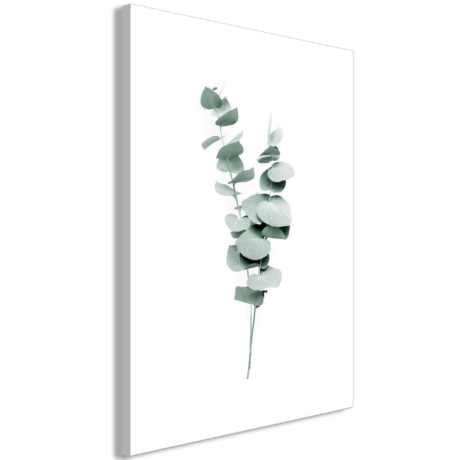 Canvas Eucalyptus Twigs - Minimalist Plant Leaves on a White Background
