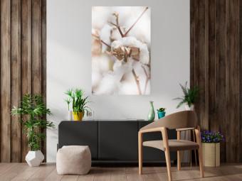 Poster Cotton Twigs - Natural Plant Photo in the Style of a Boho