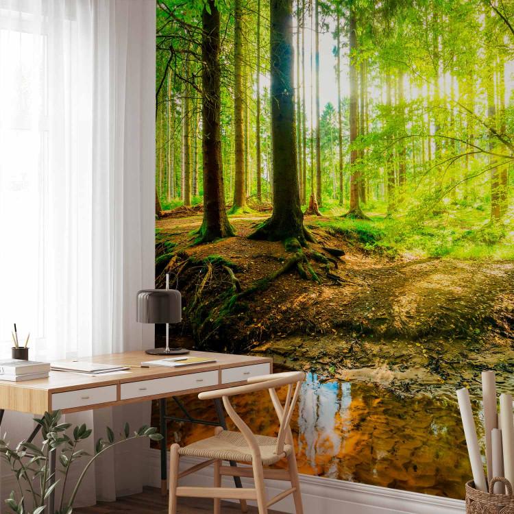Wall Mural Forest and Lake - Landscape Overlooking Natural Greenery