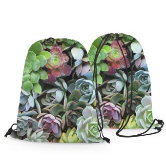 Backpack Variety of succulents - a plant composition with rich detailing