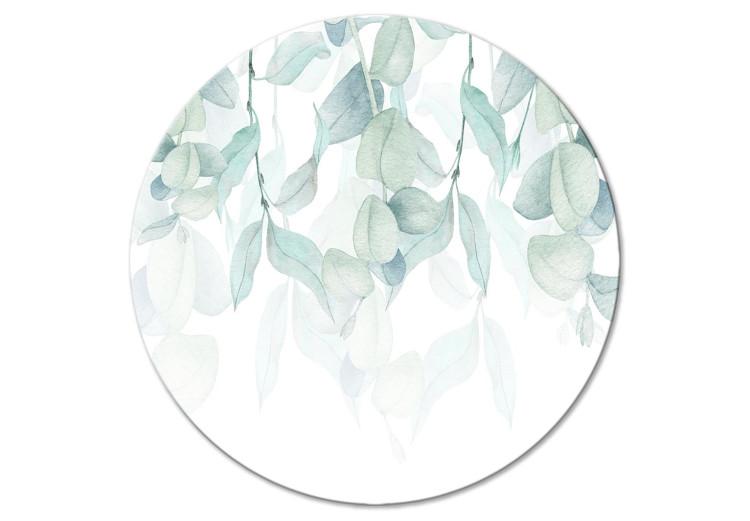 Vegetation - Delicate Green-Blue Leaves on a White Background