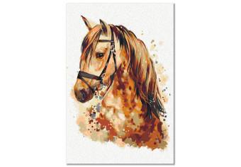Paint by Number Kit Horse Portrait - Animal With a Beautiful Mane on a Gray Background