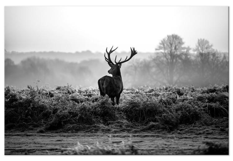 Large Canvas Print Deer in the Wild [Large Format]